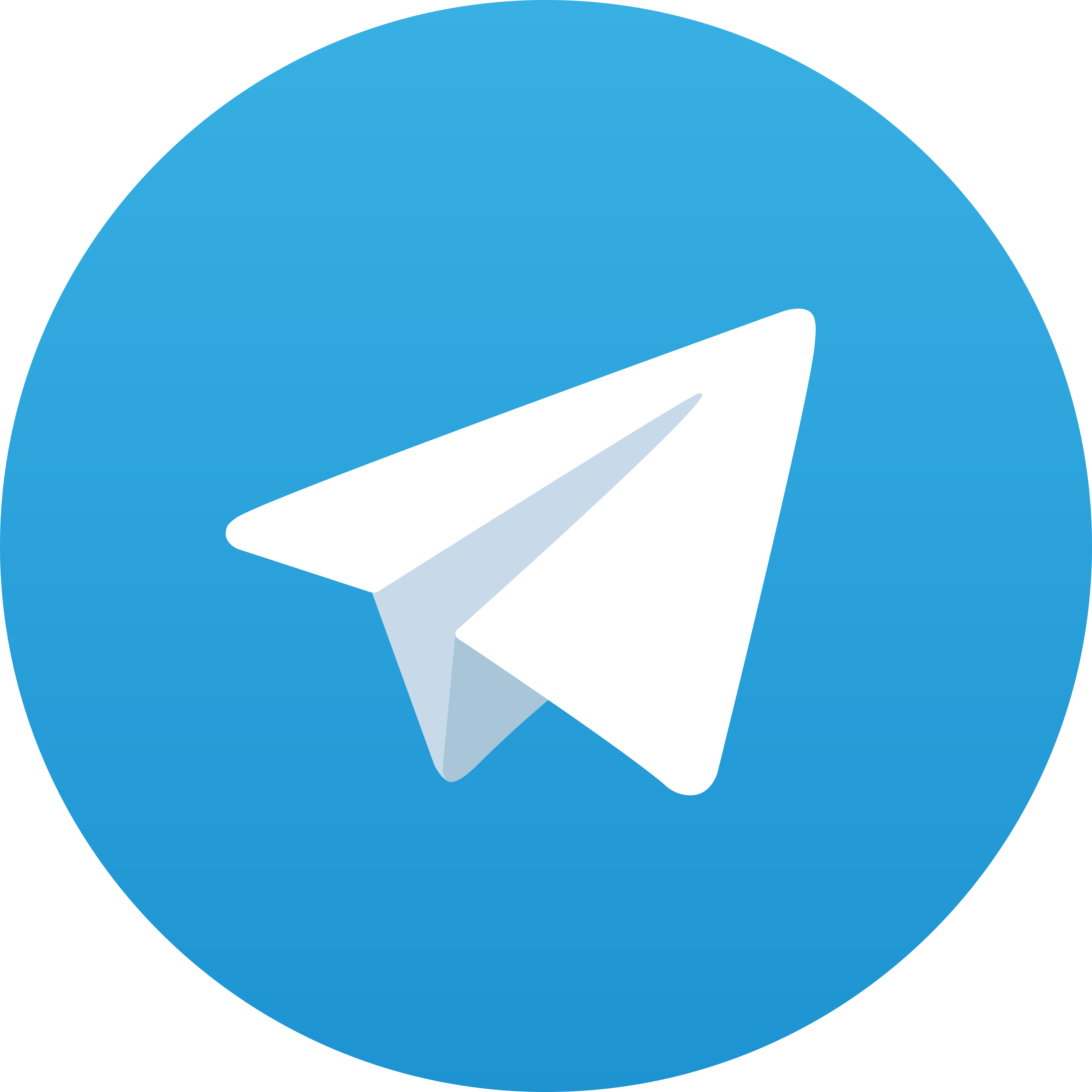 Telegram Ptogel
